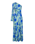 KIVARI | JUNIPER ONE SLEEVE MAXI DRESS